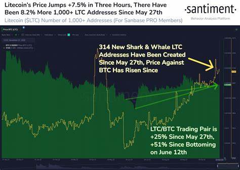 Litecoin second by gains: Is $80 possible for LTC now? - Crypto News BTC