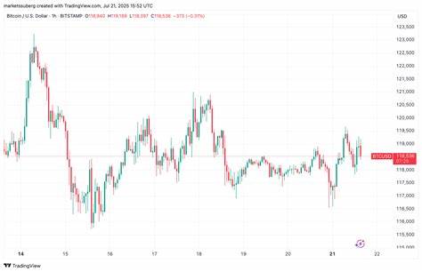 Bitcoin (BTC)-Bullenlauf vorbei? XRP überholt McDonald's