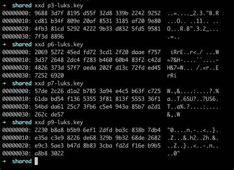 Recovering LUKS keys from running system