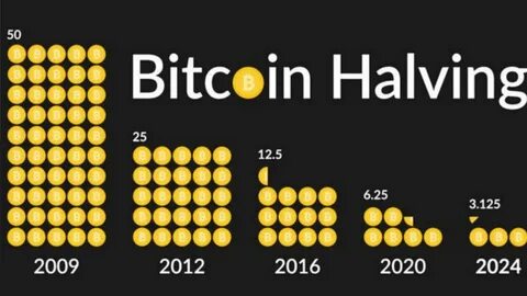The 7 best crypto to buy before the next Bitcoin halving in 2024 - CoinCodex