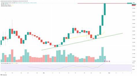 High-Rewarding IntelMarkets Presale Targets $1 Rally as Dogwifhat & XRP Experience Overnight Decline