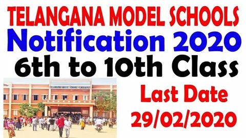 Telangana Schools to Observe Holidays from October 6-13, 2024; TSBIE Extends First-Year Admission Deadline to October 15