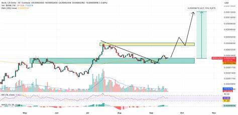 Bonk Price Prediction: Solana Treasury Giant Backs BONK – Can BONK Become the Next $1 Meme Coin?