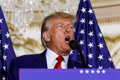 US sovereign wealth fund could buy TikTok, Trump says
