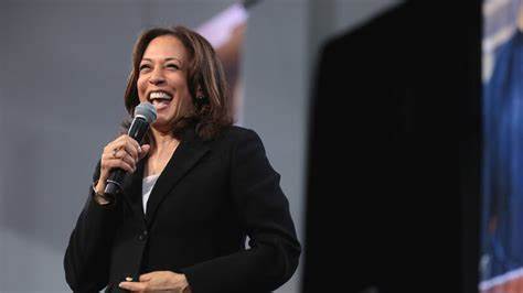 In pitch to Black men, Harris proposes forgivable loans to Black entrepreneurs - MSN