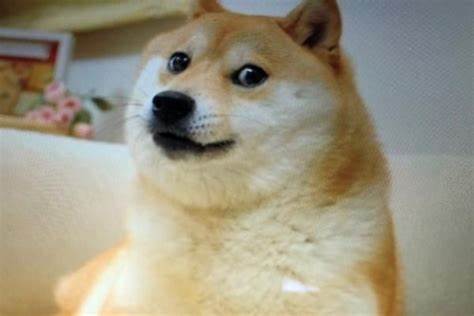Why Crypto Experts Can't See Dogecoin Hitting $1 Despite Elon Musk, Mark Cuban Backing - Yahoo Finance
