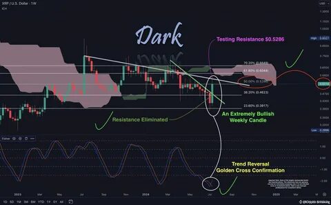 XRP Price Analysis: Analyst States Key Levels for Bullish Confirmation - Times Tabloid
