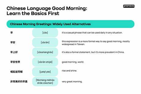 MORNING in Traditional Chinese - Cambridge Dictionary