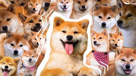 Who Will Lead Memecoin Race Dogecoin (DOGE), Shiba inu (SHIB), or Floki Inu (FLOKI)? - Experts With Price Forecast For End Of 2023 - NewsBTC