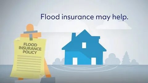 Pinellas family receives partial flood insurance coverage after disclosure issues - Yahoo