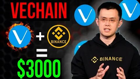 VeChain’s Next Chapter: ‘VeChain Renaissance’ Brings Fresh Tokenomics & Utility - Binance