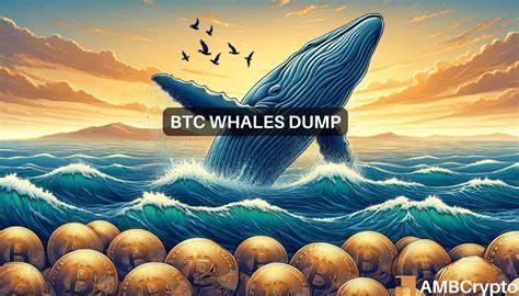 Bitcoin Price Sinks to $62k as Whales Transactions Hit 8-Month Low - The Crypto Basic