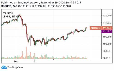 Crypto Whales Buying Bitcoin in Bulk - Bull Run Expected in Days