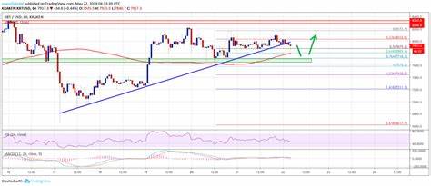 Bitcoin Price Pauses, Eyeing a Fresh Increase: Can Bulls Deliver? - Crypto Adventure