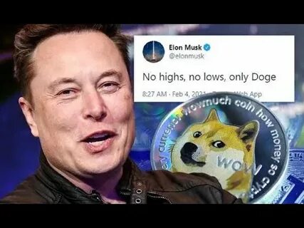 DOGE Suffers Price Dip After Fresh Tweet From Elon Musk - CryptoTvplus