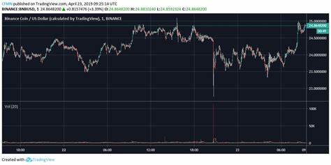 CZ Binance Bought BNB to Save ICO Investors from Free-fall - Coinfomania