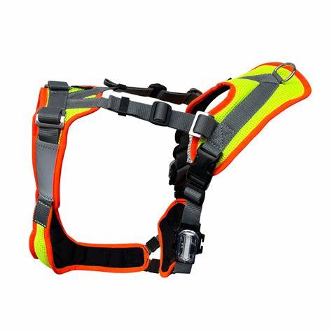 Für Hunde – hochwertiges Zubehör & Ausrüstung | Grossenbacher