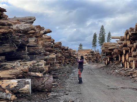 California wood pellet plants canceled amid market decline and public pushback