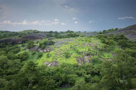 Fauna & Flora's conservation work in South Sudan