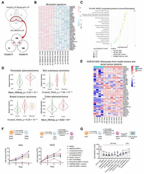 Protein signatures may one day tell brain diseases apart before symptoms