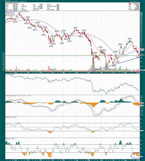 Is MicroStrategy Inc. (MSTR) the Worst AI Stock to Buy?