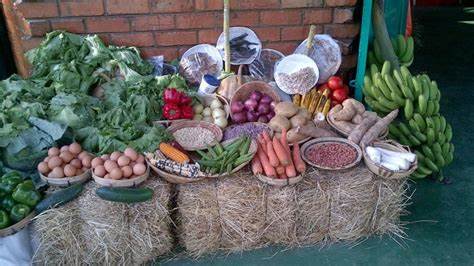 The 93rd Agro & Commercial show has not been cancelled - ACSZ - Zambian 