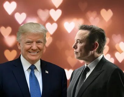 Cryptocurrency: 3 Coins To Peak Under Trump-Musk Reign - Watcher Guru