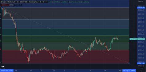 Bitcoin Technical Support and Resistance Levels, It’s Middle of Nowhere Now - Mish Talk