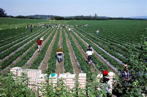 EPA rescinds $20M for clean water in pesticide-contaminated rural California