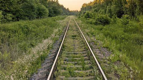 Building Modular Rails Applications: A Deep Dive into Rails Engines