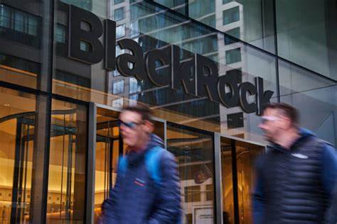 BlackRock Shares Tumble After Big Client Redemption Blunts Quarterly Results