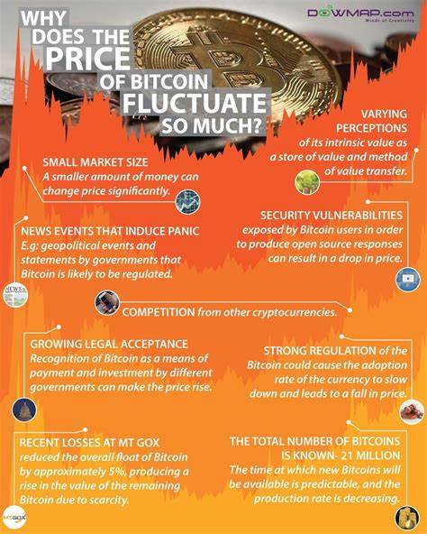 Why Does Bitcoin Price Fluctuate So Much?