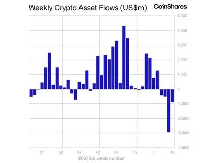 Crypto market rises on softer inflation, but can the gains hold? - Sherwood News