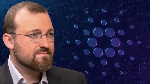 Charles Hoskinson's Vision: The Future of Education, Politics, and Crypto