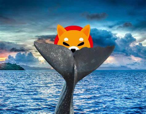 Shiba Inu Whale Action Hints At Explosive 7,000% Growth