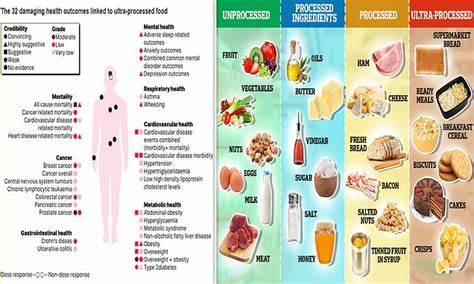 Health effects of processed meat, sugar-sweetened beverages and trans fat