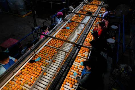 Copper Rises to Start Pivotal Week Ahead of US Tariffs Deadline