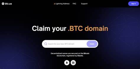 Bitcoin Name Service (BNS) Explained: A Guide to .BTC Domains - CoinDesk
