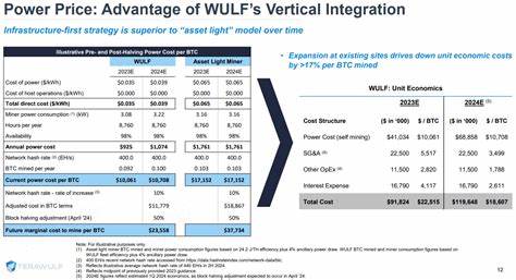 Rosenblatt Securities Maintains a Buy Rating on TeraWulf (WULF), Lifts PT to $6