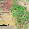 Pampa Energía advances Vaca Muerta project with $426m treatment plant