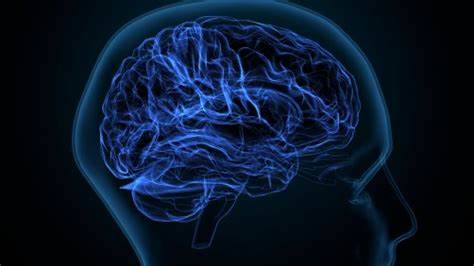 New study finds evidence of hepatitis C virus in cells lining human brain