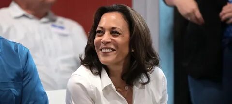 Every Kamala Harris Policy, Rated - Current Affairs.org
