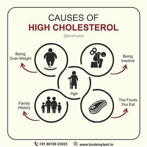 What causes high cholesterol (and how to cut it)