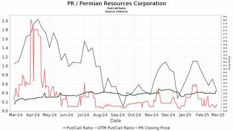Permian Resources Corporation (PR): A Bull Case Theory