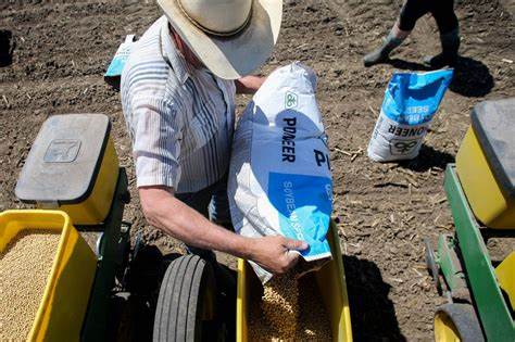 Google and Microsoft Back NASA Scientist's Food Crisis Hotline