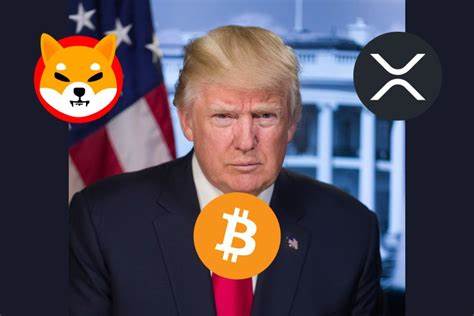 XRP: Nächste Welle? Trump treibt Bitcoin auf Rekordniveau - Marken im Fokus! (Kopie)