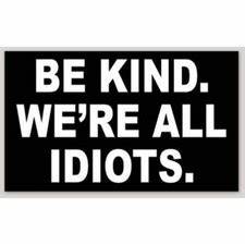 We're all idiots and that's fine