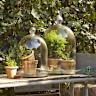 The Basics of Closed Jar Terrariums
