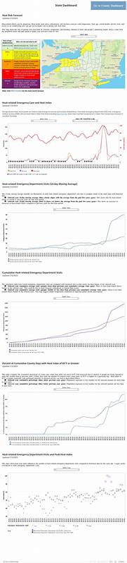 New York Heat Risk and Illness Dashboard