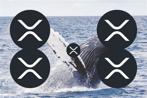 XRP Whale Activity Resumes, 30.17 Million XRP Moved to Coinbase - Times Tabloid